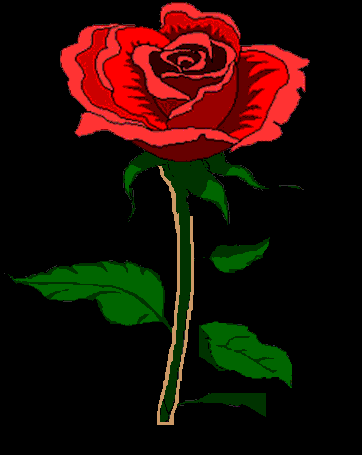 roosje.gif (12138 bytes)